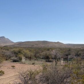 Lower Kelsey Corrals