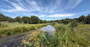 New Listing- Reeds Cattle Co