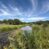 New Listing- Reeds Cattle Co