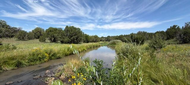 New Listing- Reeds Cattle Co