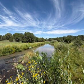 Silver Creek