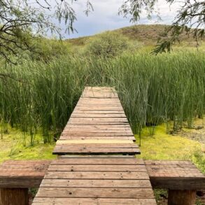 Dock