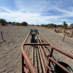 Roping Arena