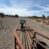 Roping Arena