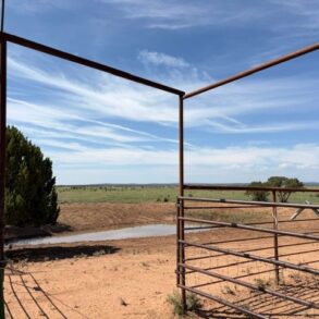 Corral View